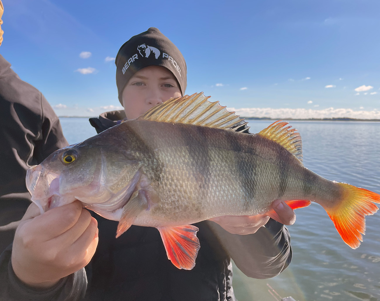 Molix Creature 10 cm